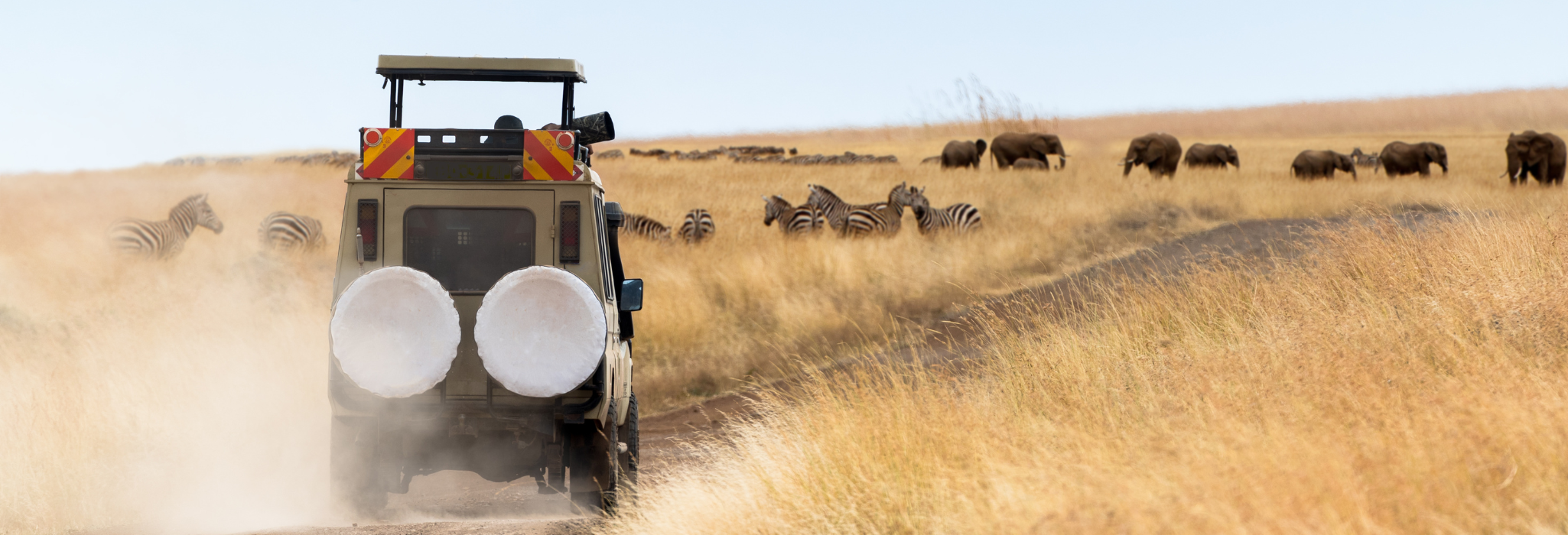 Safari jeep i Tanzania