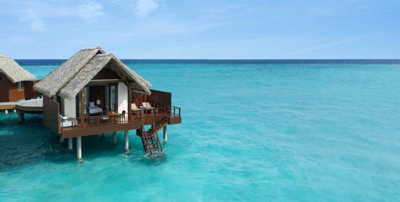 Single trip page image