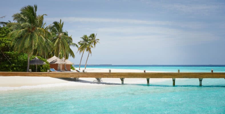 Single trip page image