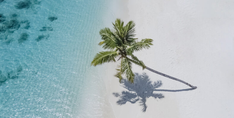 Single trip page image