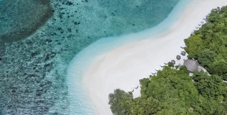 Single trip page image