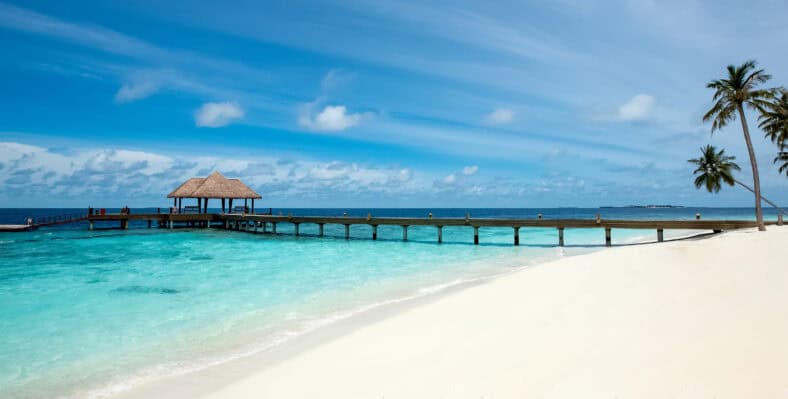 Single trip page image