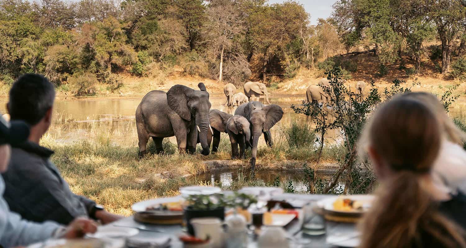 Elefantfamilj vid vatten i det afrikanska savannlandskapet, med safariåkare i förgrunden som njuter av utsikten.