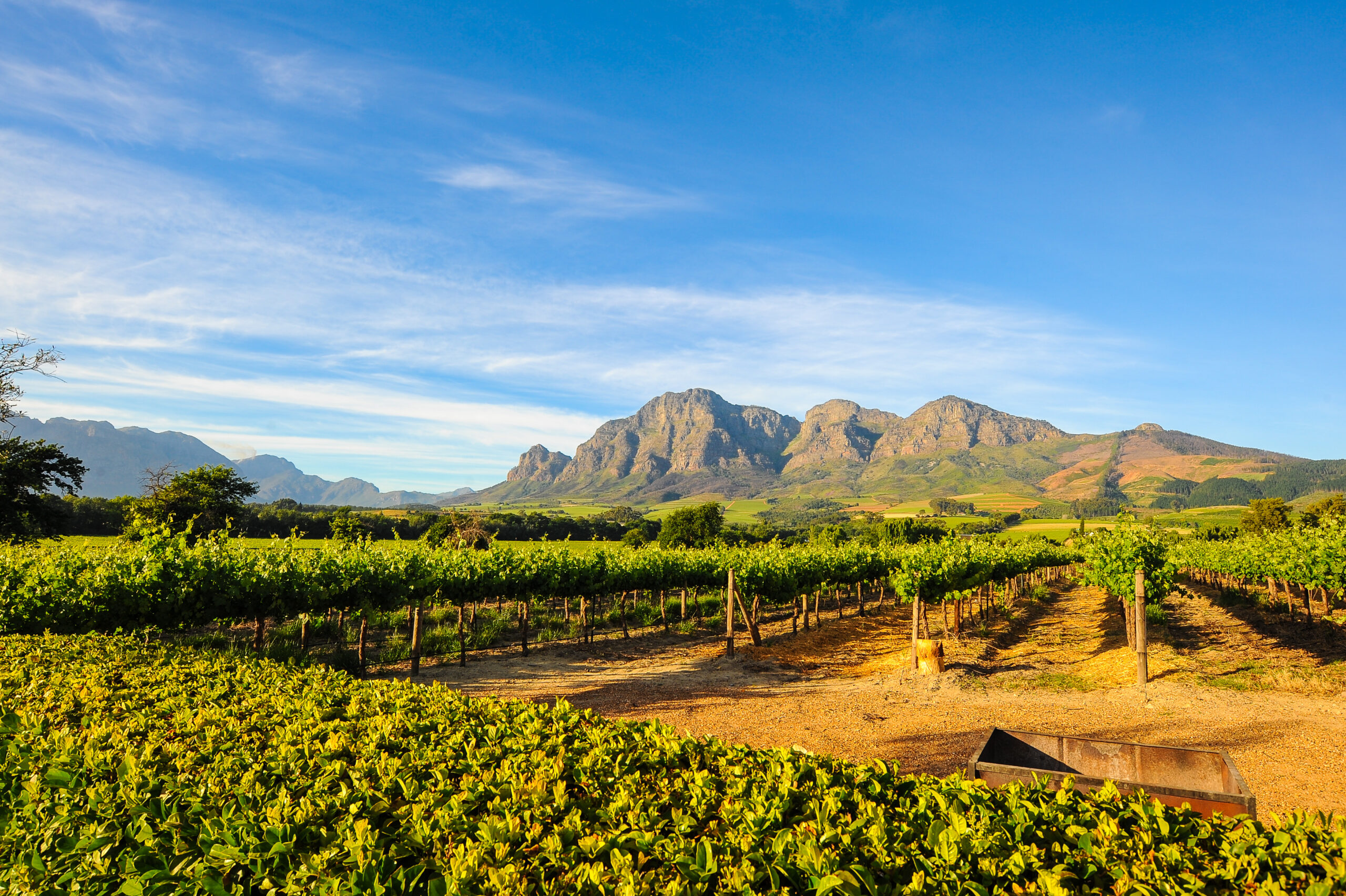 Stellenbosch Vinområde