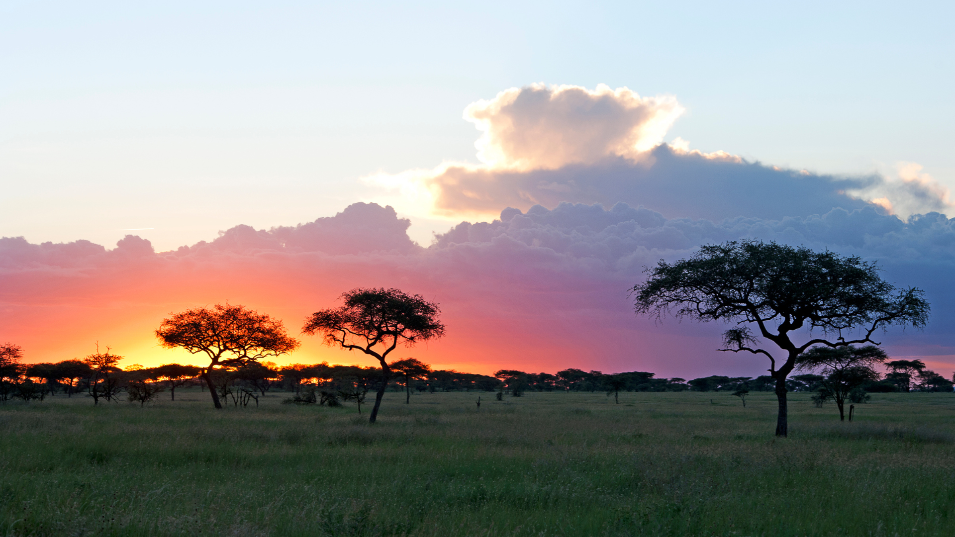 Tanzania solnedgång serengeti