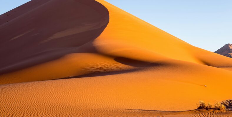 Single trip page image