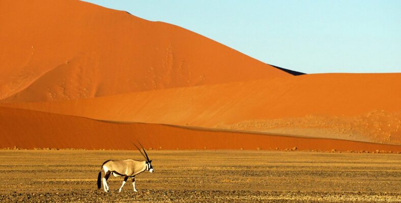 Single trip page image