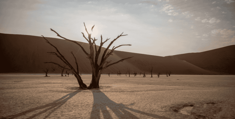 Single trip page image