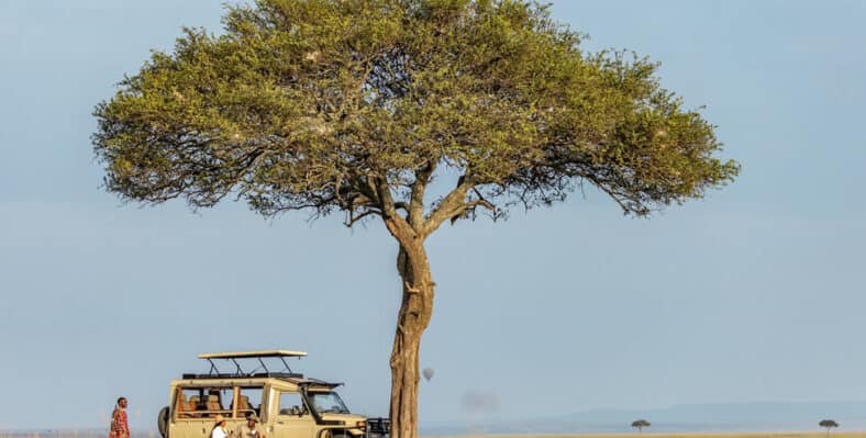Single trip page image