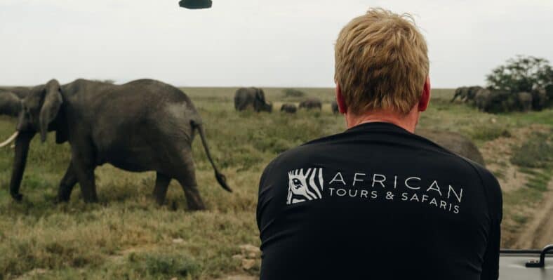 Single trip page image