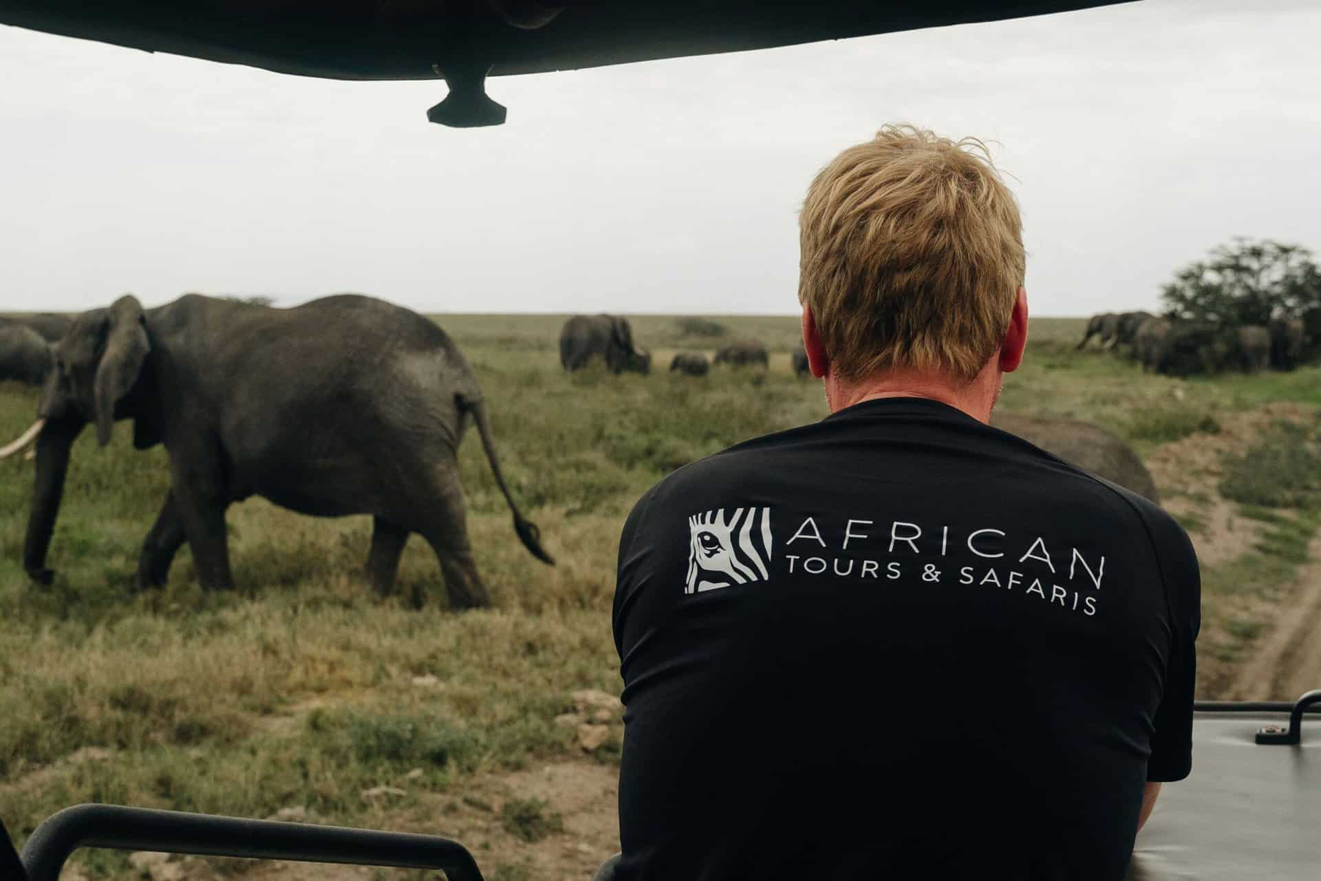Elefanter sett från safarijeep i Serengeti Tanzania