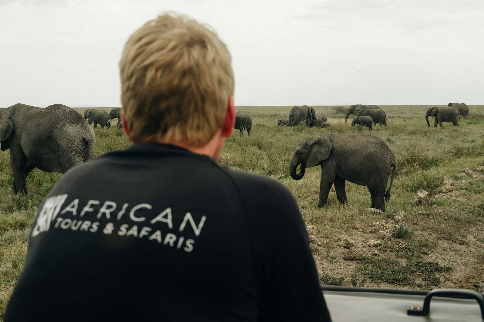 serengeti davids rygg och elefanter