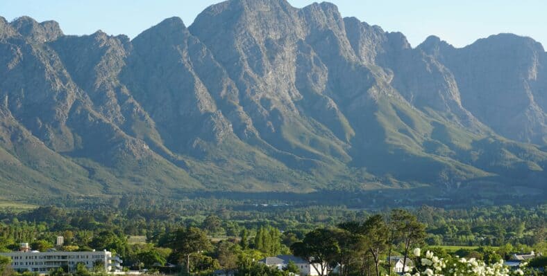 Single trip page image