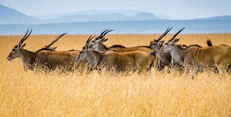 Single trip page image