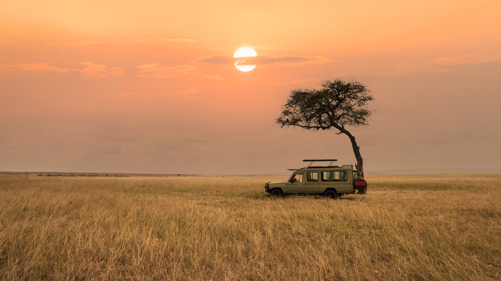 safari jeep tanzania serengeti