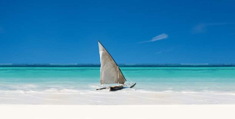 Single trip page image