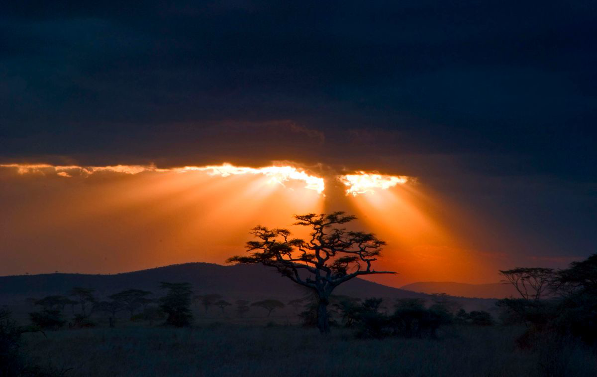 Solen skiner genom moln i Serengeti