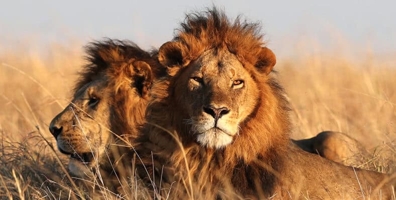 Single trip page image