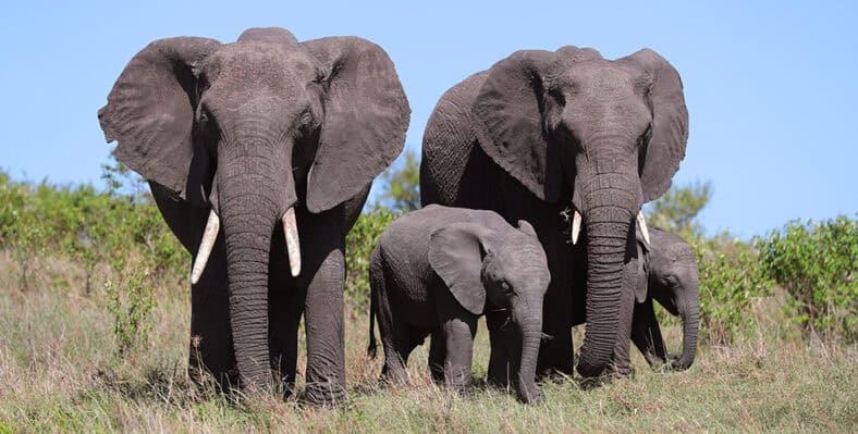 Single trip page image