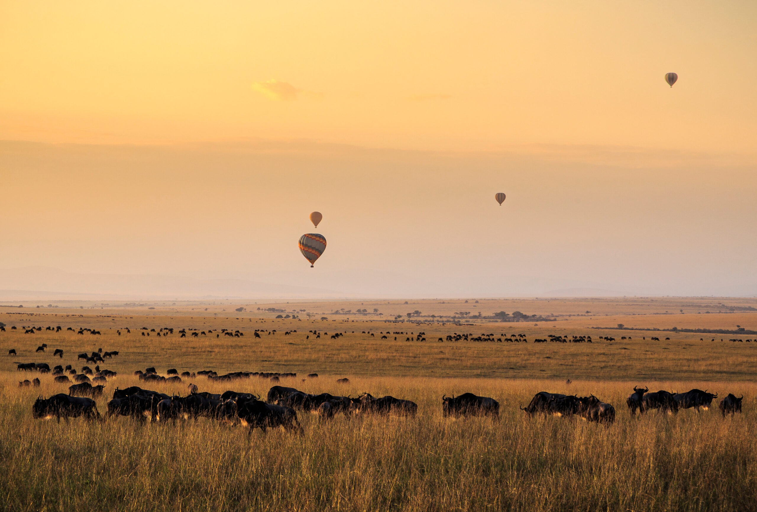 Luftballonger över Masai Mara
