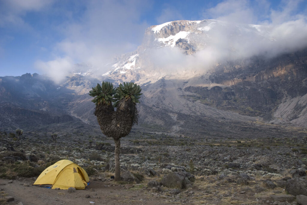 Kilimanjaro tält