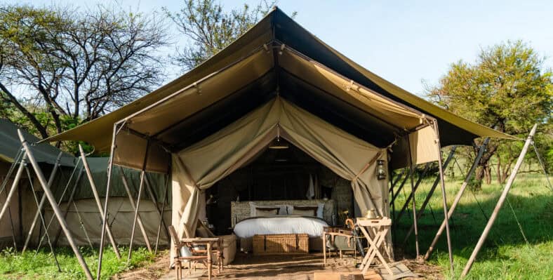 Single trip page image