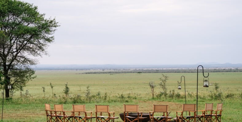 Single trip page image