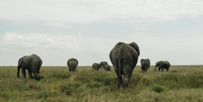 Single trip page image