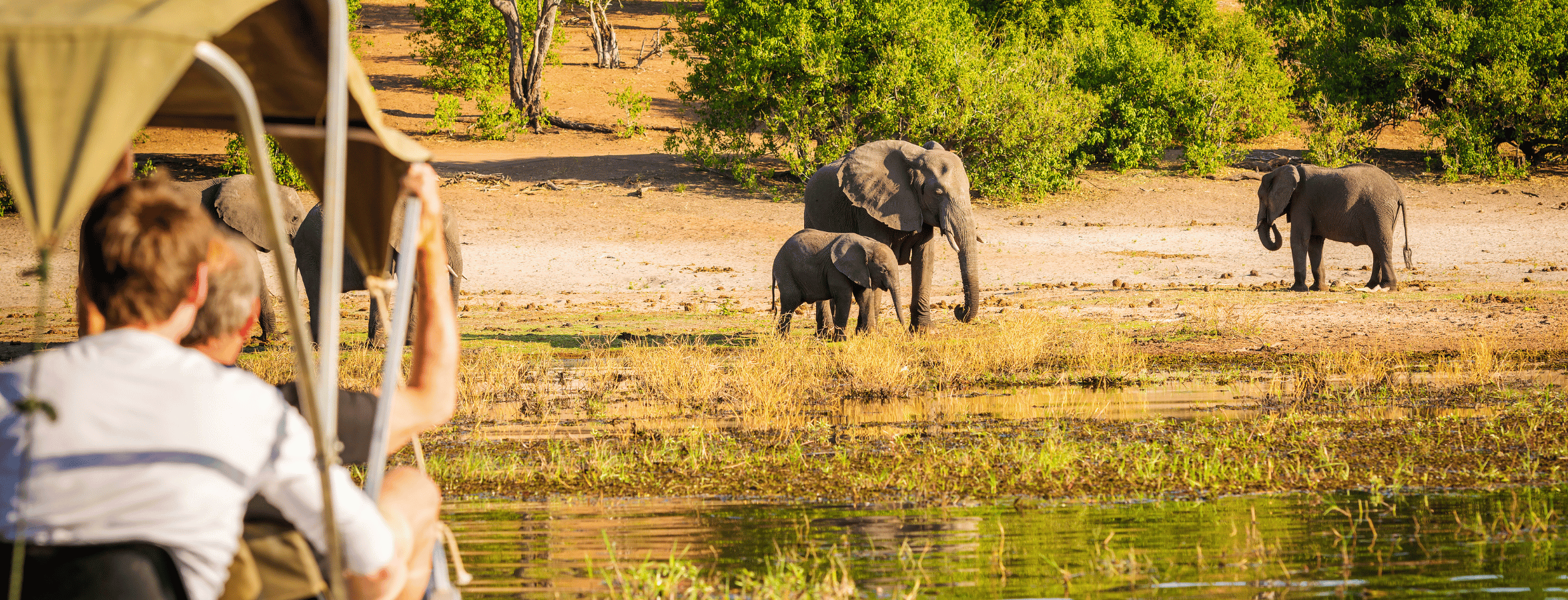 safarijeep upplever elefanter vid flodbädden