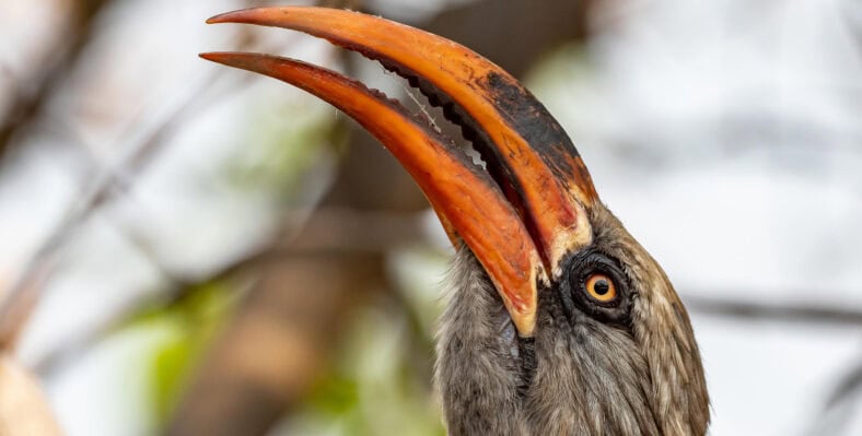 Single trip page image