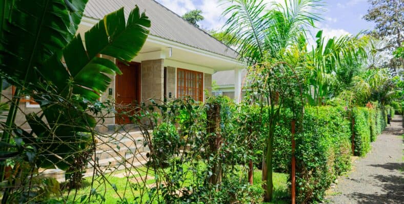 Single trip page image