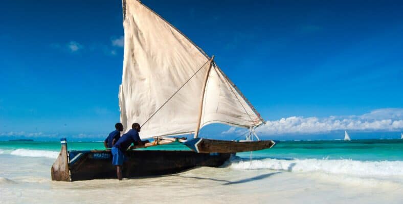 Single trip page image