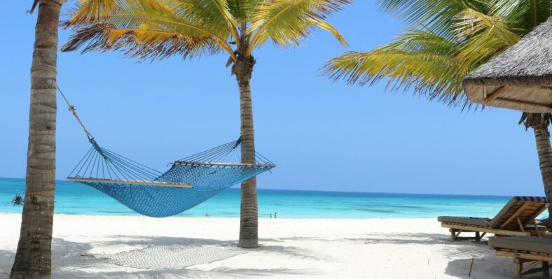 Single trip page image