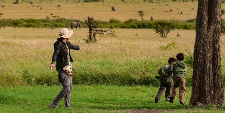 Single trip page image