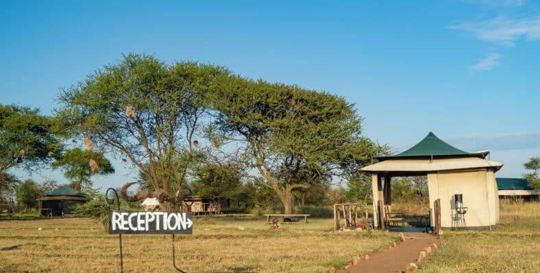Single trip page image