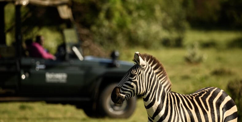 Single trip page image