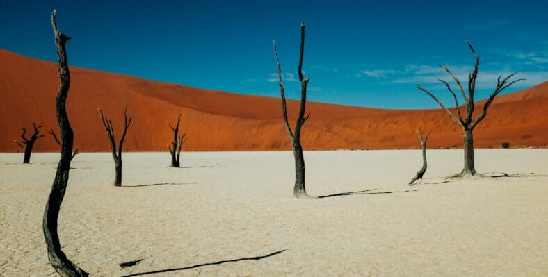 Single trip page image